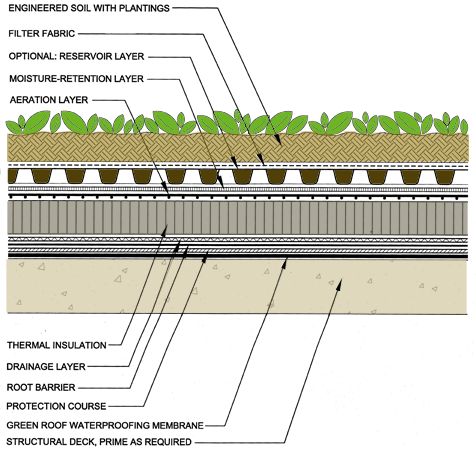 Extensive green roofs are