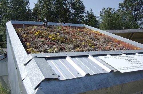 sample-3 green roof installation in brooklyn