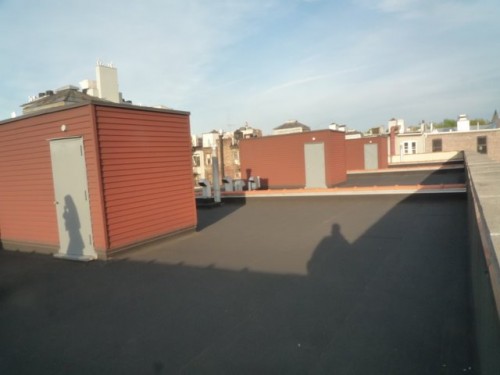 park slope brooklyn green roof installation condominium