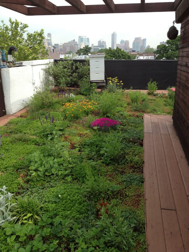 Green Roof Landscaping