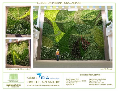 edmonton international airport green wall