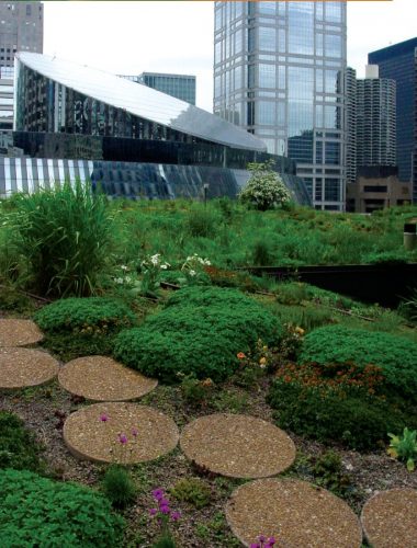 enka drain green roof system