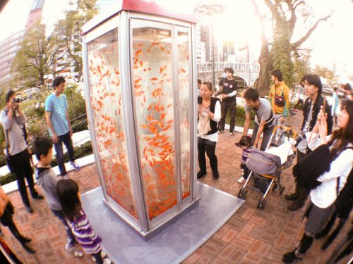 Telephone booth fish tank