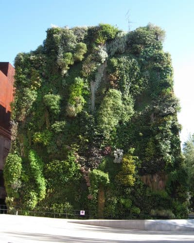 Living walls may not be able to have redwoods, but it definitely can have small bushes.