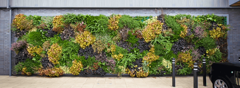 Green Wall Benefits - Green Wall Installation - Green Walls Brooklyn