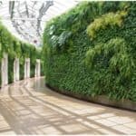 biological benefits of Living Green walls