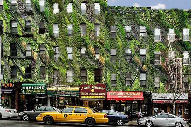 a digital rendering showcasing all NYC facades covered with plant walls