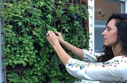 an Eco Brooklyn client with the living wall installed at her home