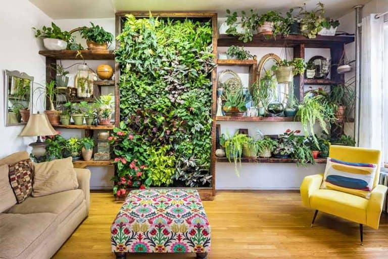 Beautiful Living Walls for Indoor spaces - Living Wall in New York