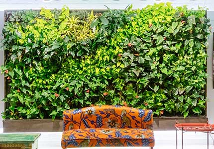 living wall installed at the hotel reception area