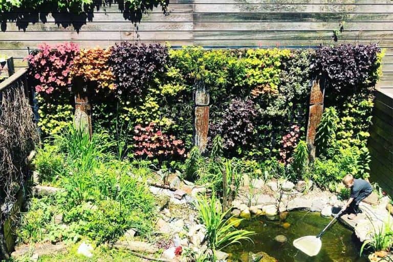 Fresh Look at Living Walls For Outdoor Spaces Outdoor Living Walls New York