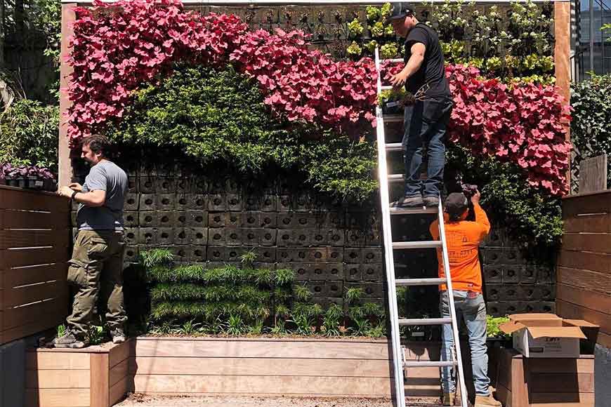expert team of Eco Brooklyn doing outdoor living wall installation