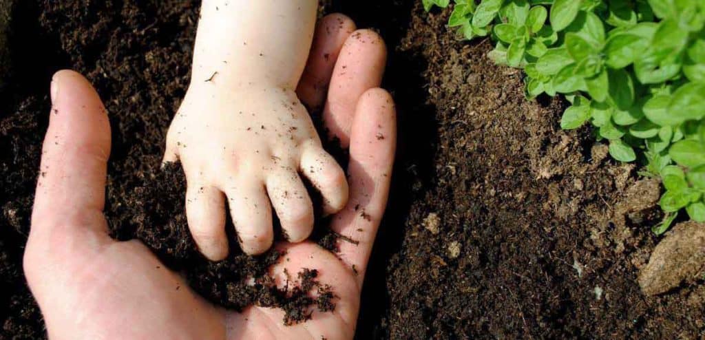 soil in the hands of baby and father. Must be remediated to remove toxins
