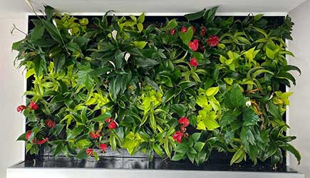 all season plants installed on a living wall at a home in Manhattan