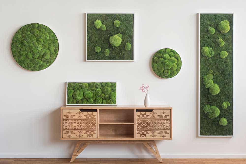 Home Moss Wall Art in New York