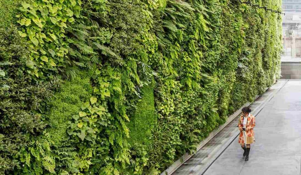 living wall exterior in a commercial space