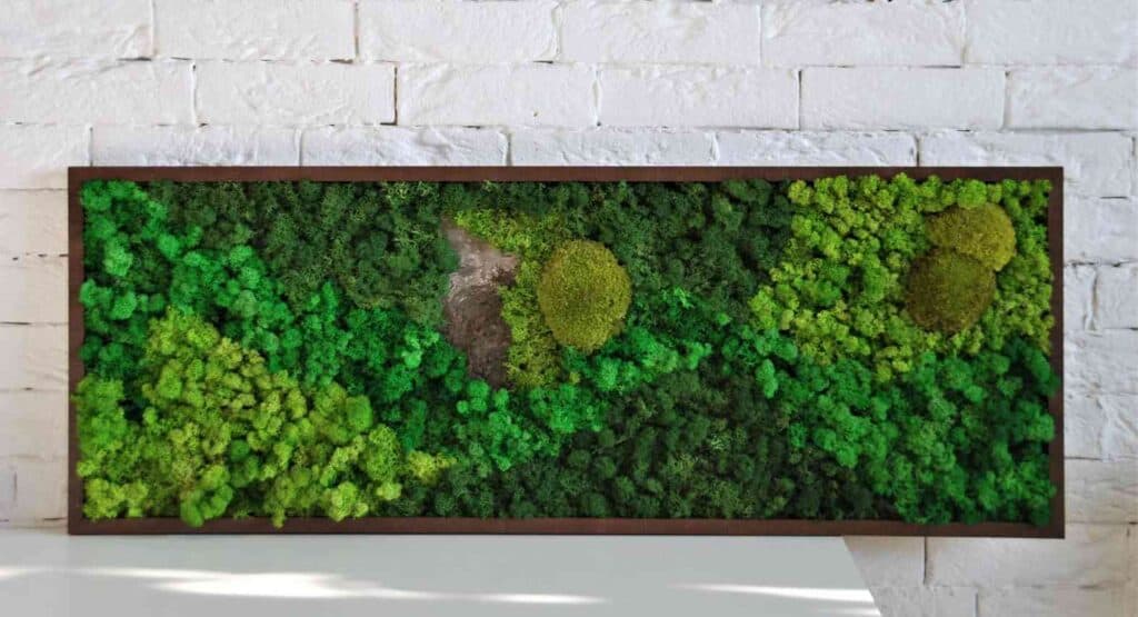 preserved moss wall benefits