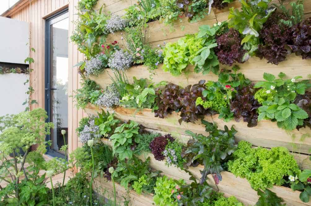 planting systems in living walls
