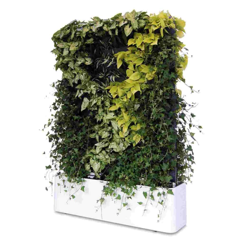 living wall ideas for residences