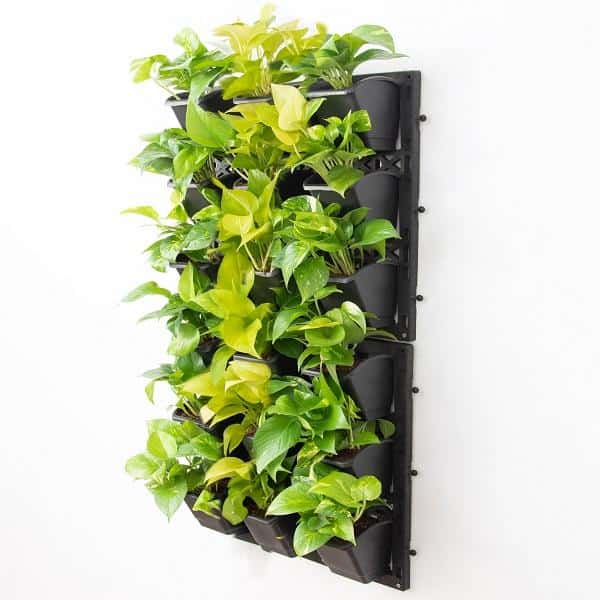 wall mounted planter systems