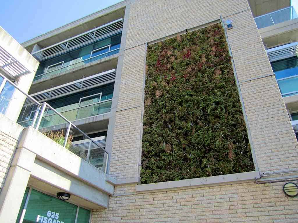 outdoor green wall maintenance