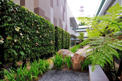 singapore general hospital living wall