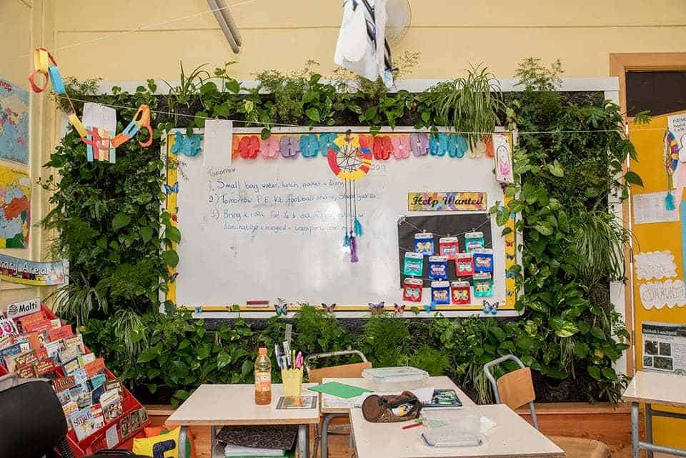 living walls in classrooms