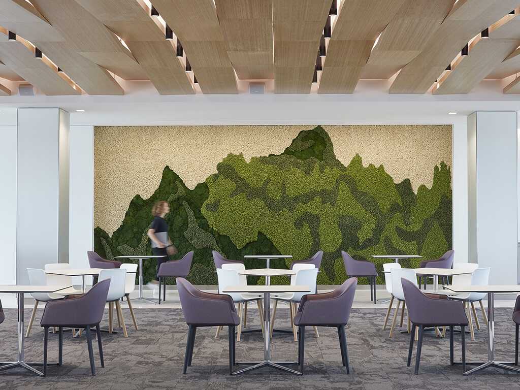prserved moss walls in libraries