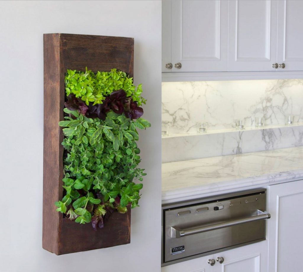kitchen living wall in cafetaria