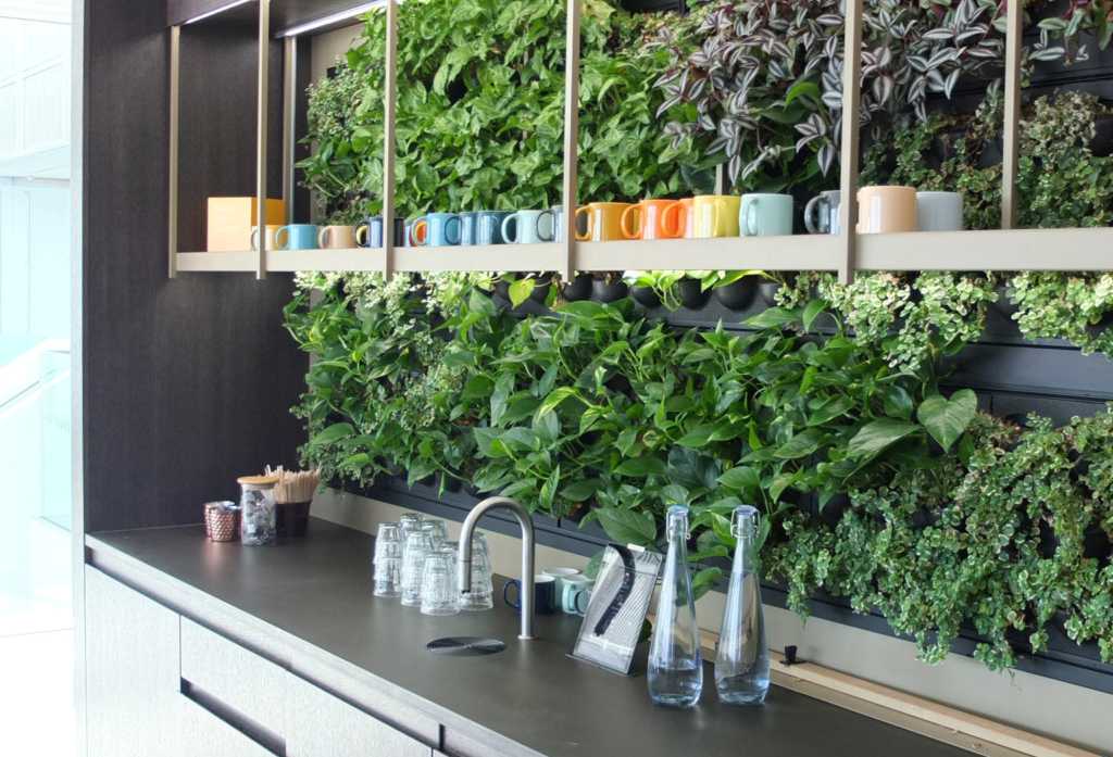 living walls in kitchens