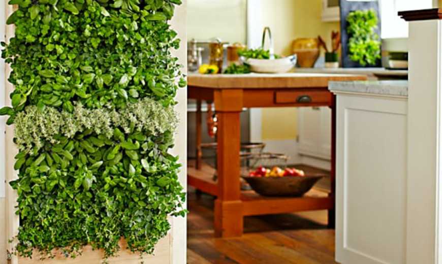 living wall kitchen partition