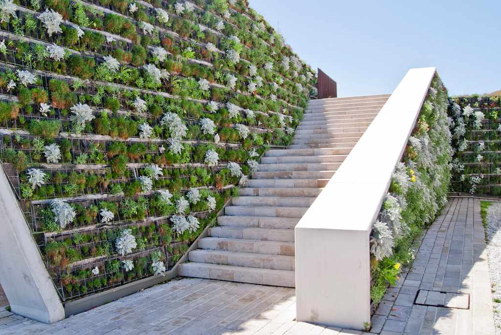 benefits of outdoor living walls