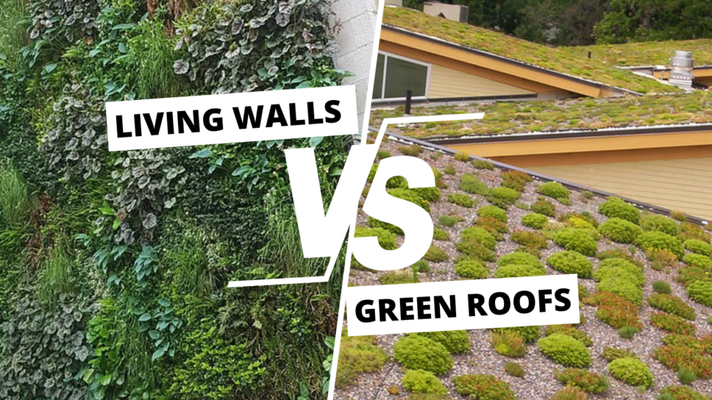 living walls vs green roofs