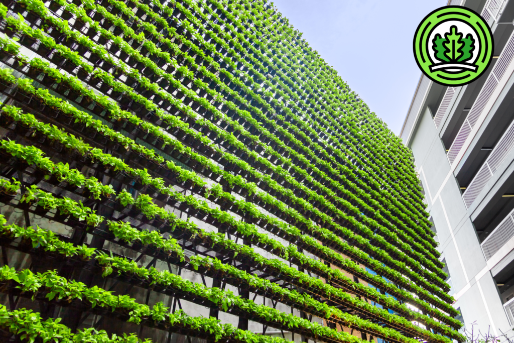 How to secure LEED credits for Living Walls