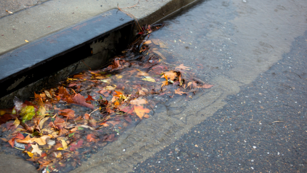 living-walls-stormwater-greywater-management