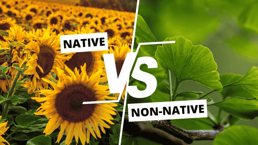 native vs. non-native landscaping nyc