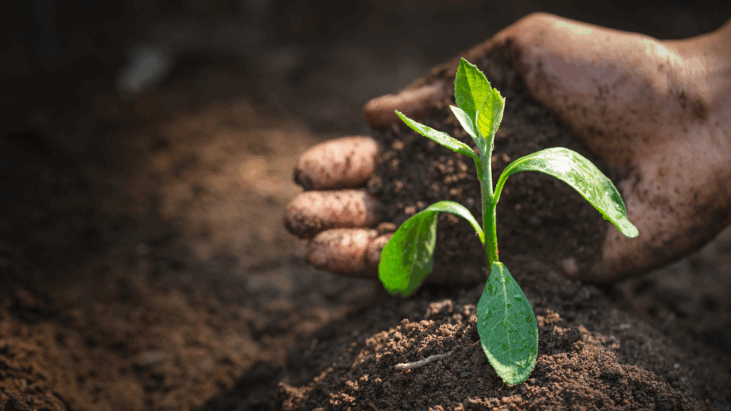 soil health for landscaping