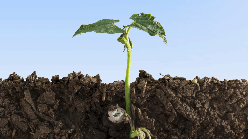 Underground Heat Island Effect NYC